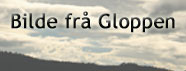 Bilde frå Gloppen