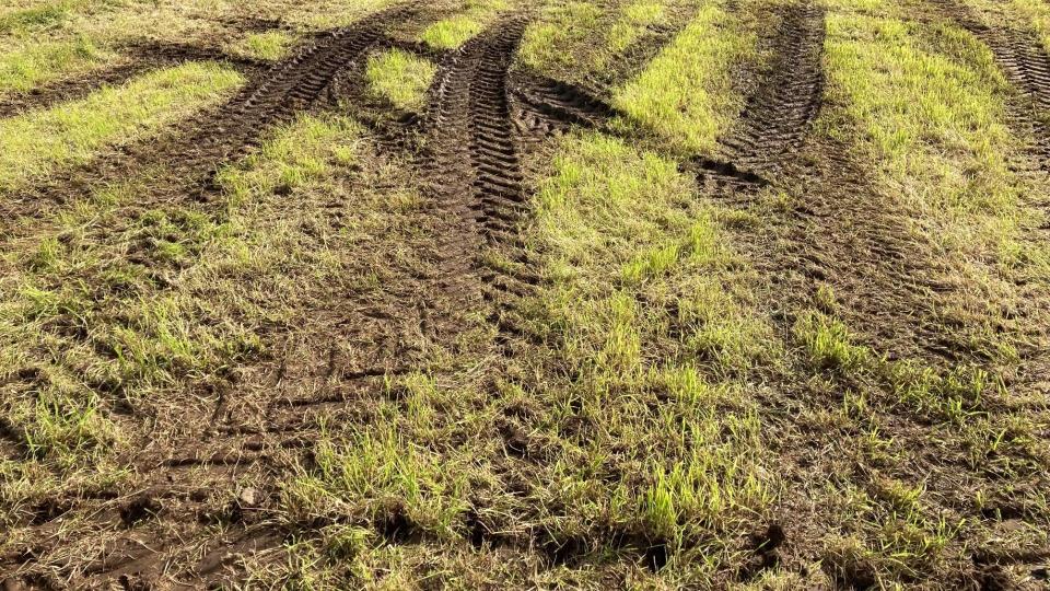 Lenkje til artikkel: Landbrukskontoret minner om:  Tilskot ved produksjonssvikt